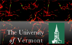 Visit the main UVM website
