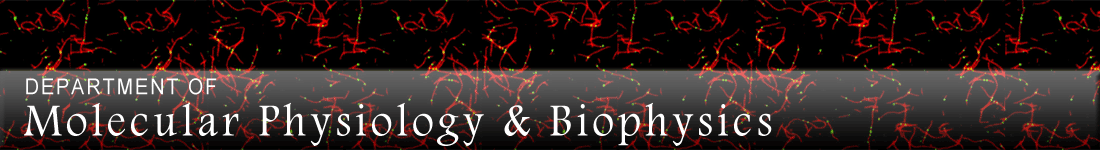 Molecular Physiology & Biophysics